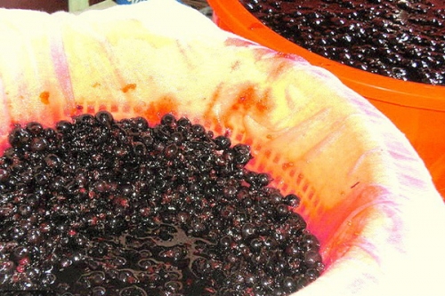 смородина в марлі