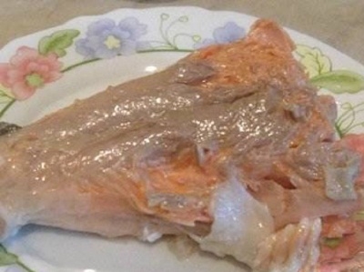 форель