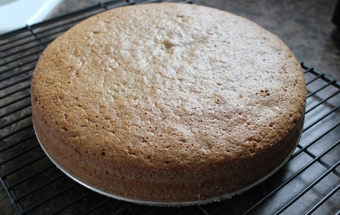 готовий корж