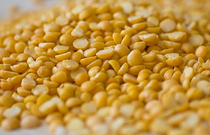 расщипленный горох