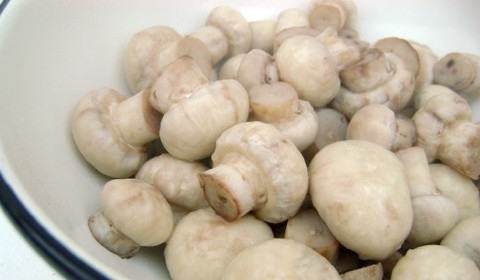 Печериці.