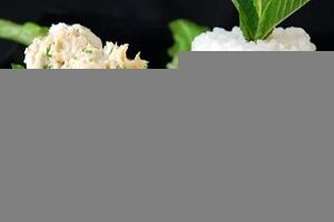 Тілапія з м&;ятним песто