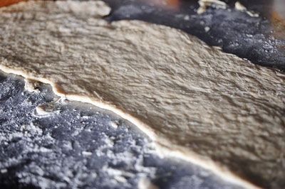 пласт тесту